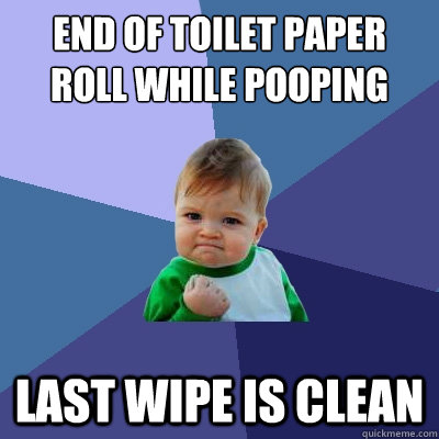 end of toilet paper roll while pooping last wipe is clean  Success Kid