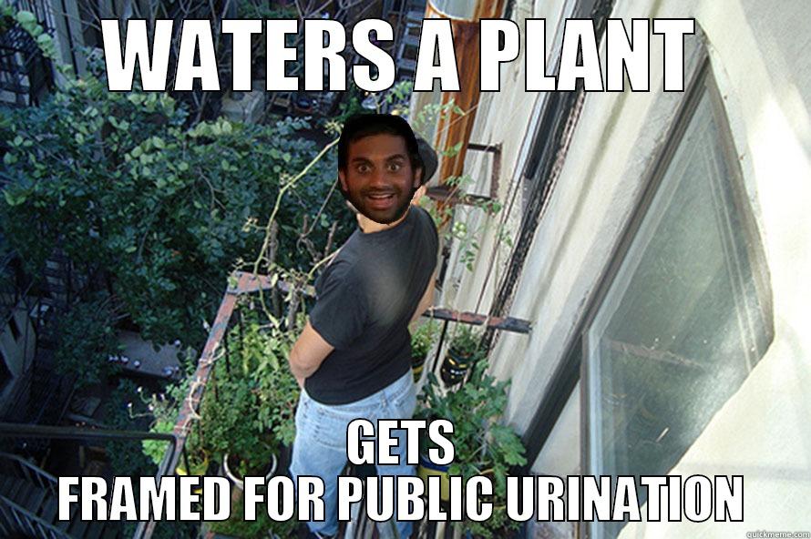 INDIAN MEME - WATERS A PLANT GETS FRAMED FOR PUBLIC URINATION Misc