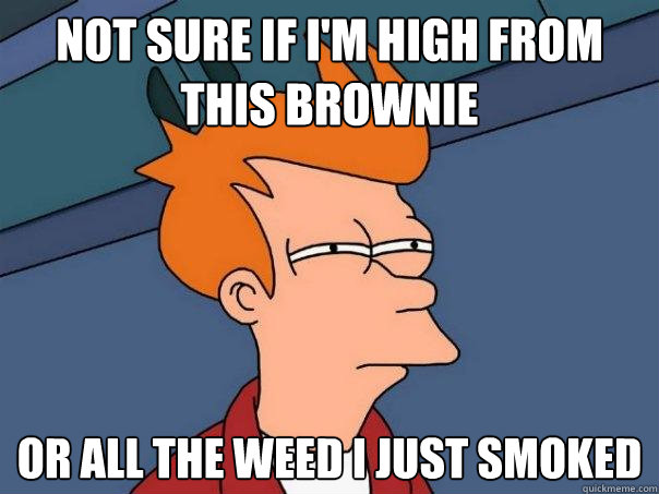 not sure if i'm high from this brownie Or all the weed i just smoked  Futurama Fry