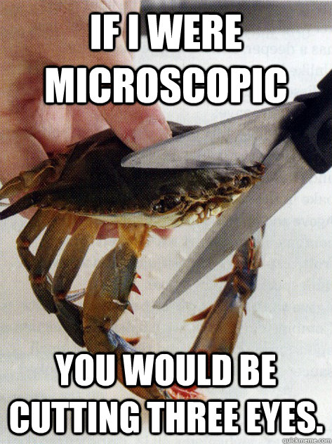 If I were microscopic  You would be cutting three eyes.  - If I were microscopic  You would be cutting three eyes.   Optimistic Crab