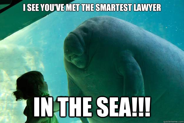 I see you've met the smartest lawyer in the sea!!! - I see you've met the smartest lawyer in the sea!!!  Overlord Manatee