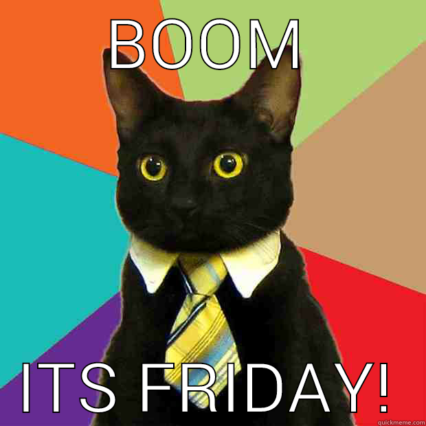 friday cat - BOOM ITS FRIDAY! Business Cat