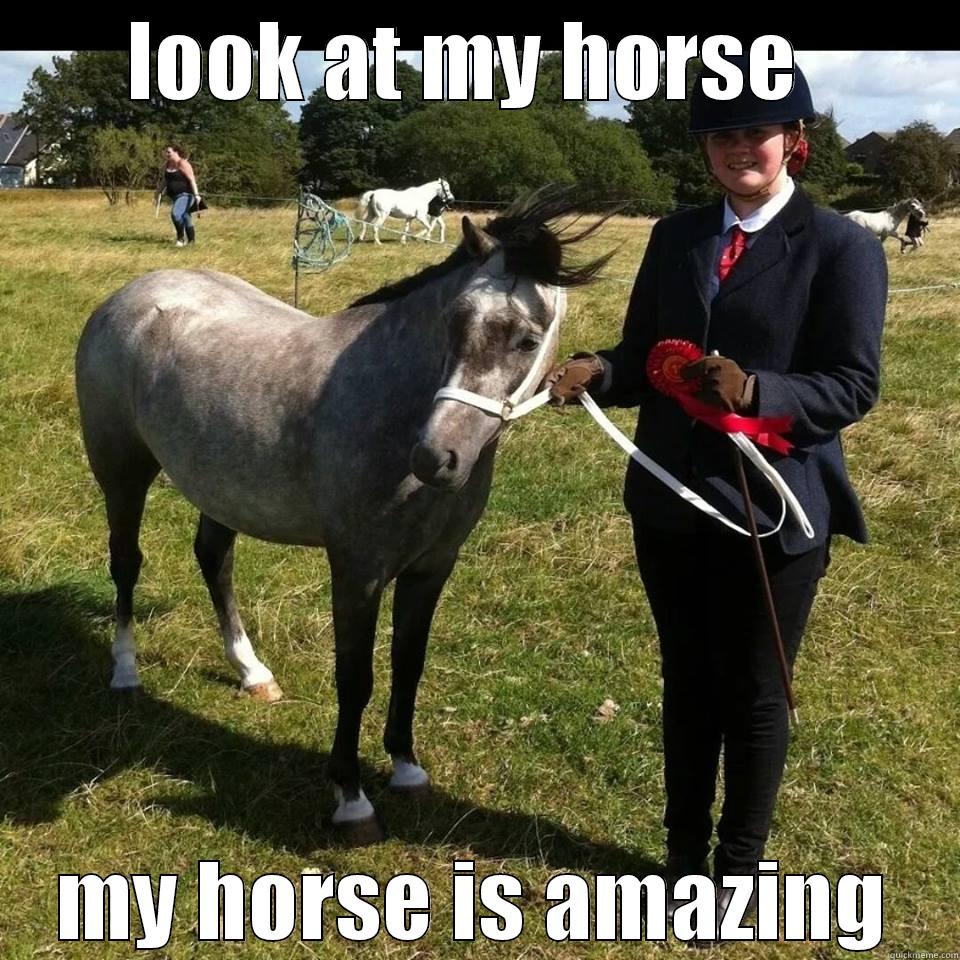 LOOK AT MY HORSE  MY HORSE IS AMAZING Misc