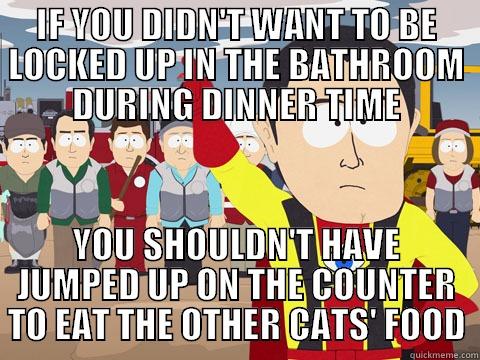 IF YOU DIDN'T WANT TO BE LOCKED UP IN THE BATHROOM DURING DINNER TIME YOU SHOULDN'T HAVE JUMPED UP ON THE COUNTER TO EAT THE OTHER CATS' FOOD Captain Hindsight