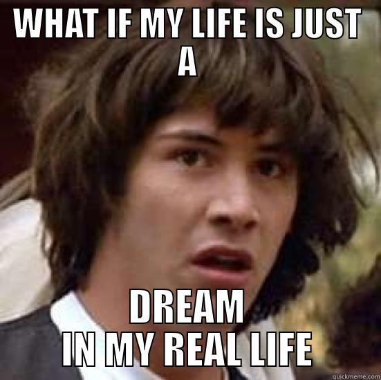 WHAT IF MY LIFE IS JUST A DREAM IN MY REAL LIFE conspiracy keanu