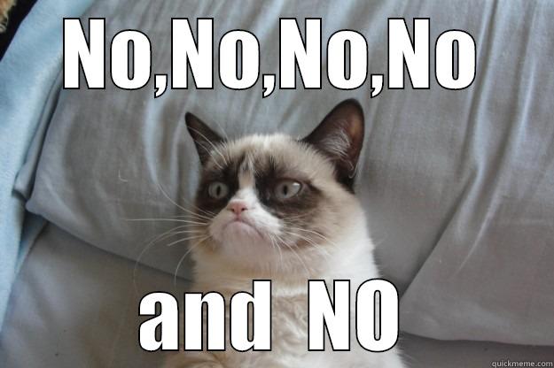 the big no - NO,NO,NO,NO AND  NO Grumpy Cat