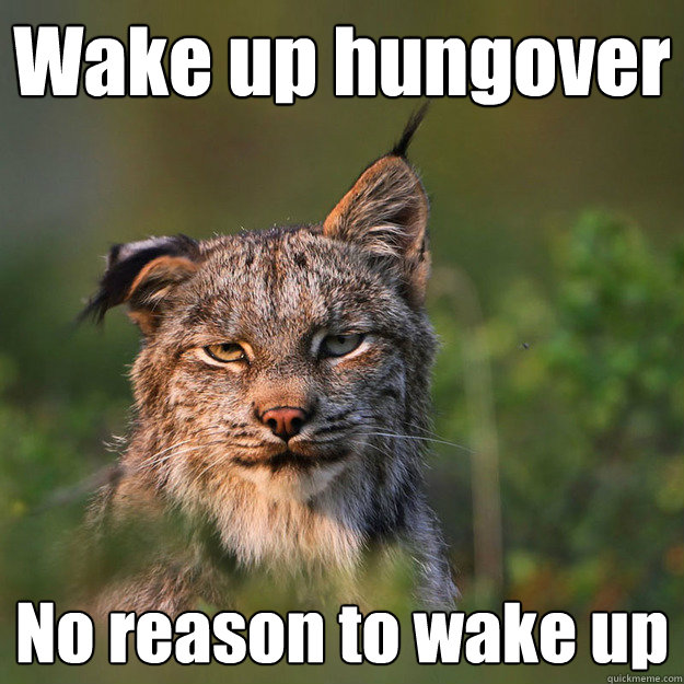 Wake up hungover No reason to wake up  