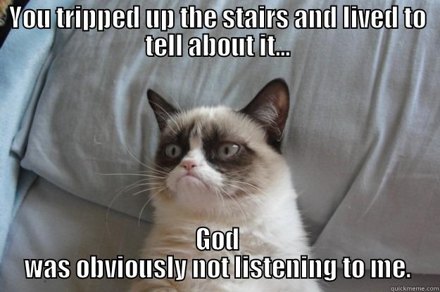 YOU TRIPPED UP THE STAIRS AND LIVED TO TELL ABOUT IT... GOD WAS OBVIOUSLY NOT LISTENING TO ME. Grumpy Cat