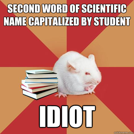 second word of scientific name capitalized by student idiot  Science Major Mouse