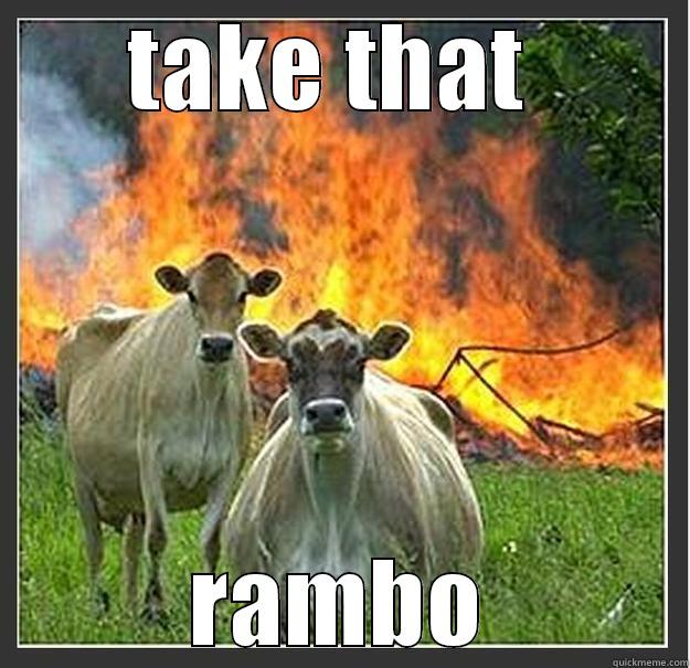 rambo cows - TAKE THAT  RAMBO Evil cows