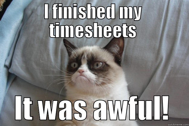 I FINISHED MY TIMESHEETS IT WAS AWFUL! Grumpy Cat