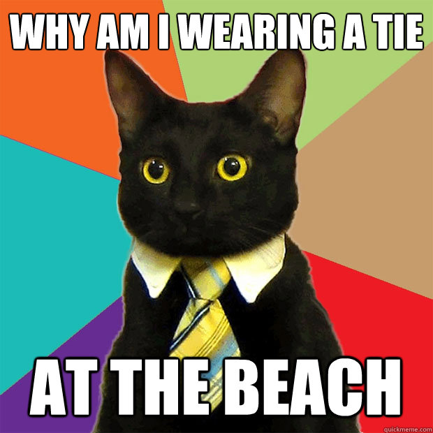 why am I wearing a tie  at the beach  Business Cat