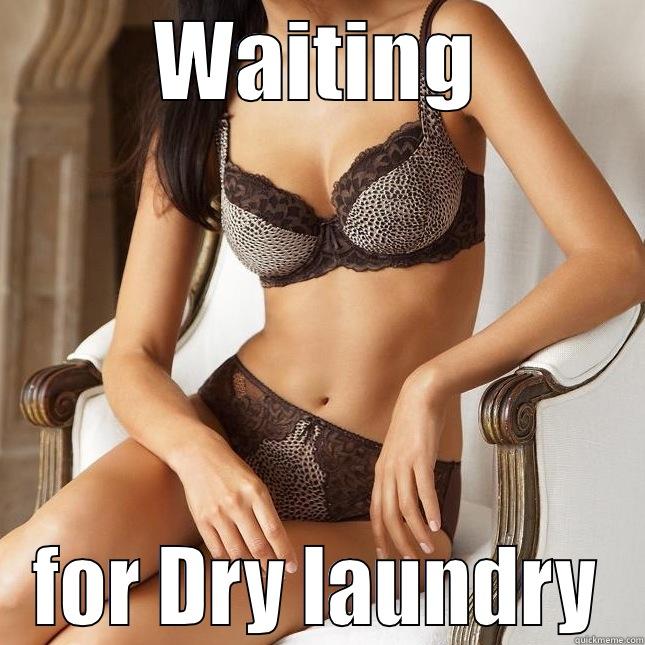 WAITING FOR DRY LAUNDRY Misc