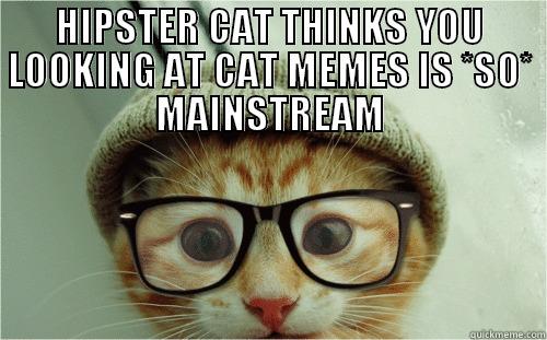 HIPSTER CAT THINKS YOU LOOKING AT CAT MEMES IS *SO* MAINSTREAM  Misc