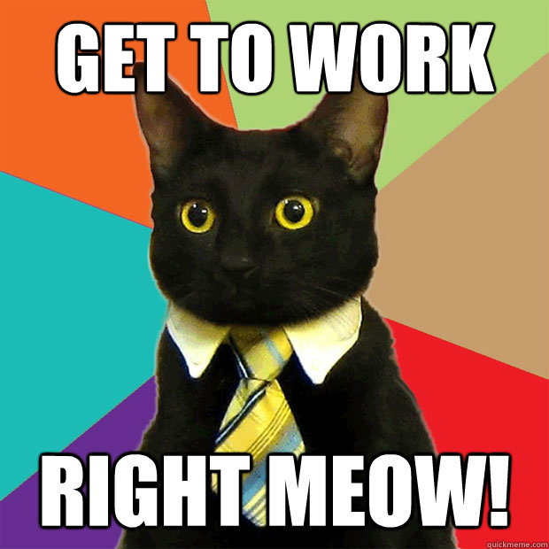 GET TO WORK RIGHT MEOW!  Business Cat