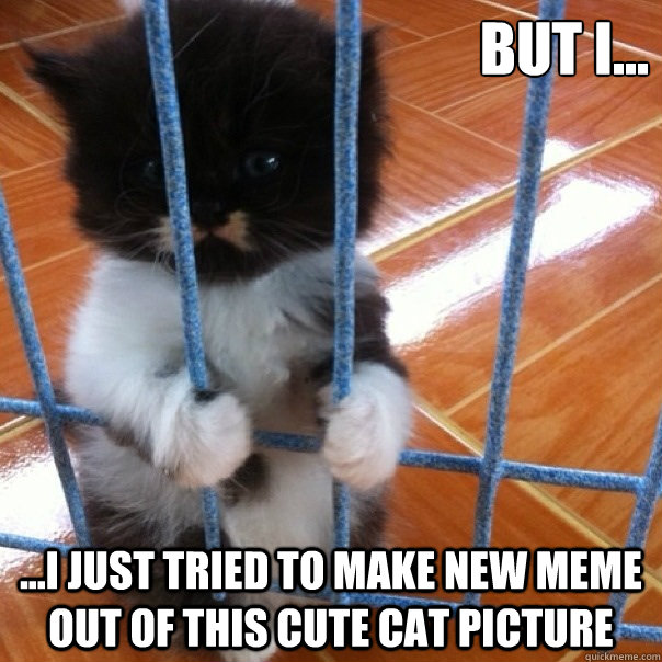 but I... ...I just tried to make new meme out of this cute cat picture - but I... ...I just tried to make new meme out of this cute cat picture  Misc