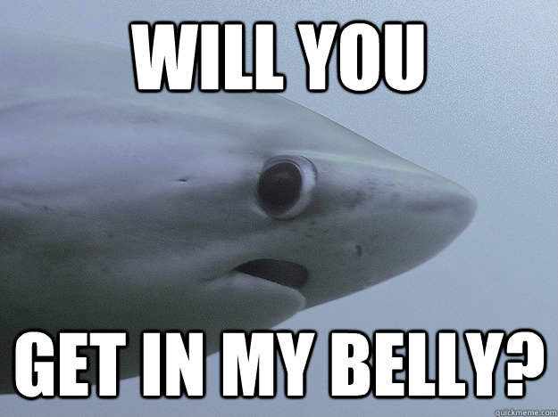 Will you get in my belly?  Shy Shark