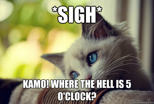 *Sigh* Kamo! Where the hell is 5 O'Clock?  First World Problems Cat