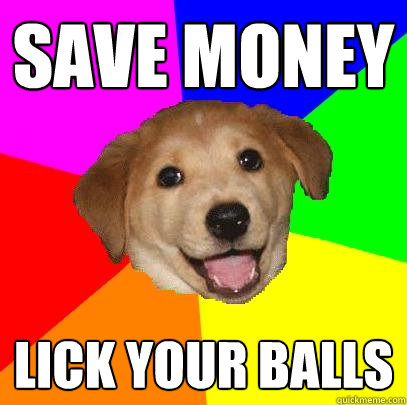 Save money lick your balls  Advice Dog