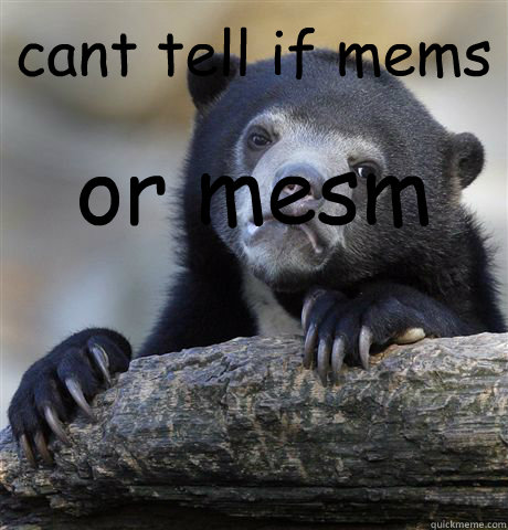 cant tell if mems or mesm  Confession Bear