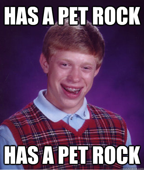 Has a pet rock has a pet rock  Bad Luck Brian