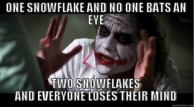 ONE SNOWFLAKE AND NO ONE BATS AN EYE TWO SNOWFLAKES AND EVERYONE LOSES THEIR MIND Joker Mind Loss