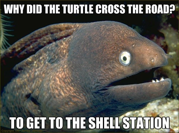 Why did the turtle cross the road? to get to the shell station  Bad Joke Eel