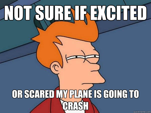 Not sure if excited Or scared my plane is going to crash  Futurama Fry