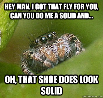 Hey man, i got that fly for you, can you do me a solid and... Oh, that shoe does look solid  Misunderstood Spider