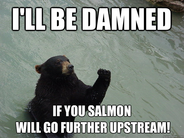 I'll be damned if you salmon
 will go further upstream!  Vengeful Bear