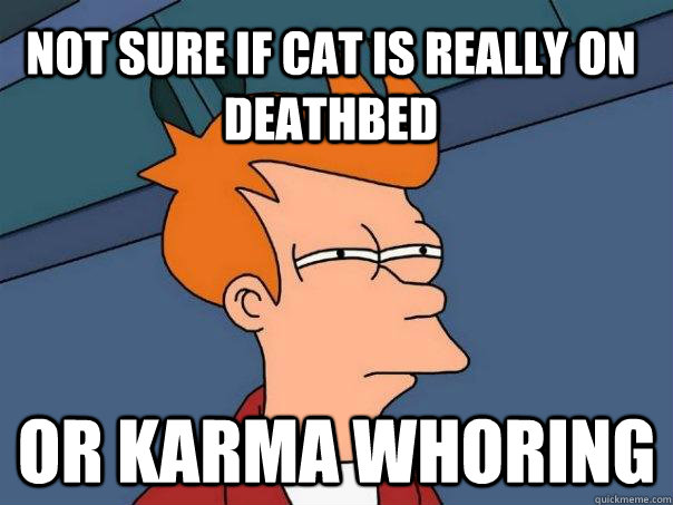 Not sure if cat is really on deathbed Or karma whoring  Futurama Fry