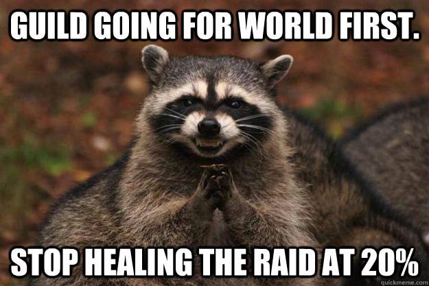 Guild going for world first. Stop healing the raid at 20%   Evil Plotting Raccoon