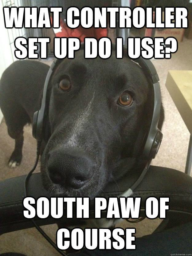 What controller set up do i use? south paw of course  Gamer Dog