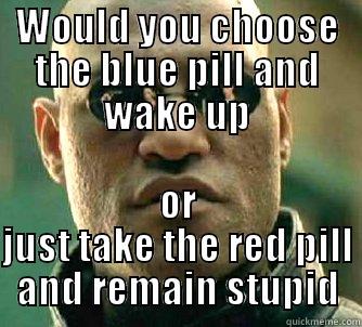 WOULD YOU CHOOSE THE BLUE PILL AND WAKE UP OR JUST TAKE THE RED PILL AND REMAIN STUPID Matrix Morpheus