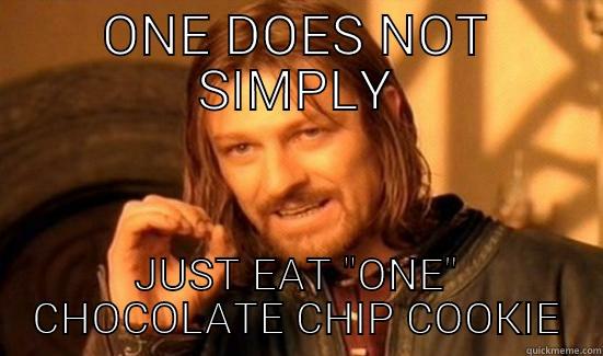 National chocolate chip day  - ONE DOES NOT SIMPLY JUST EAT 