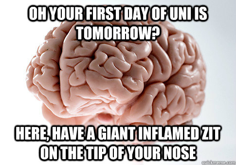 Oh your first day of uni is tomorrow? here, have a giant inflamed zit on the tip of your nose  Scumbag Brain