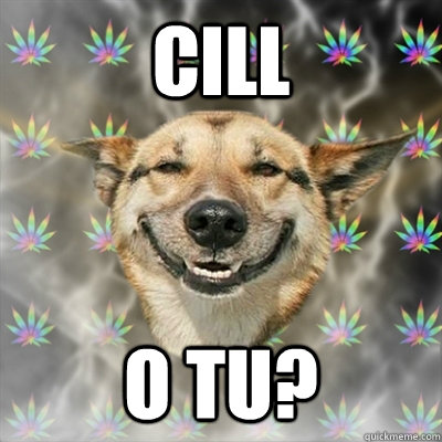 cill o tu?  Stoner Dog