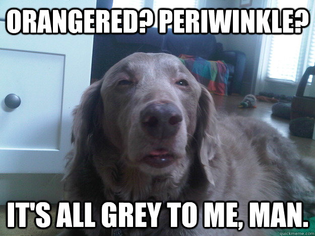 Orangered? Periwinkle? It's all grey to me, man.  10 Dog