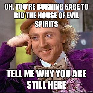 Oh, you're burning sage to rid the house of evil spirits Tell me why you are still here - Oh, you're burning sage to rid the house of evil spirits Tell me why you are still here  Condescending Wonka