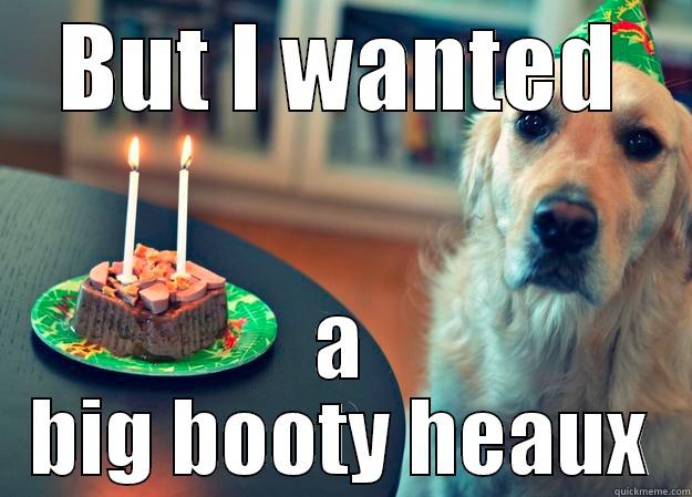 BUT I WANTED A BIG BOOTY HEAUX Sad Birthday Dog