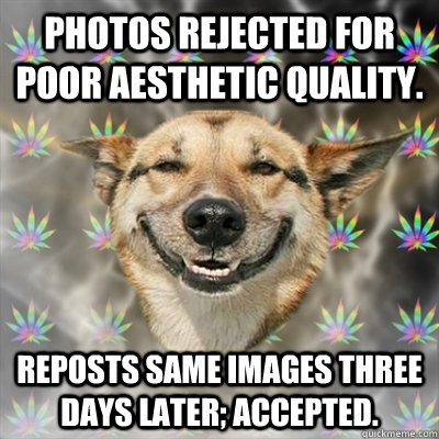 PHOTOS REJECTED FOR POOR AESTHETIC QUALITY. REPOSTS SAME IMAGES THREE DAYS LATER; ACCEPTED.  Stoner Dog