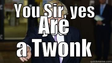 YOU SIR, YES YOU ARE A TWONK Misc