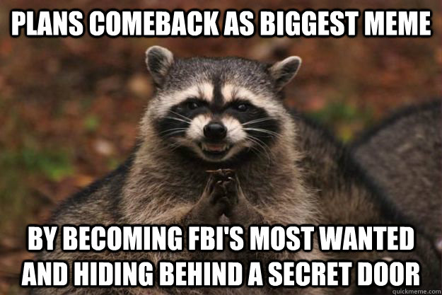 plans Comeback as biggest meme by becoming FBI's most wanted and hiding behind a secret door - plans Comeback as biggest meme by becoming FBI's most wanted and hiding behind a secret door  Evil Plotting Raccoon