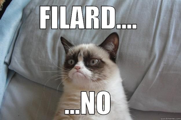 ok ok ok ok - FILARD.... ...NO Grumpy Cat