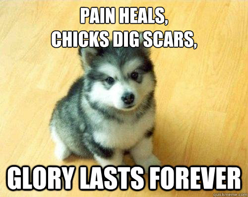 Pain Heals,
Chicks Dig Scars, Glory Lasts Forever  Baby Courage Wolf