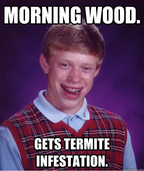 Morning wood. gets termite infestation.  Bad Luck Brian