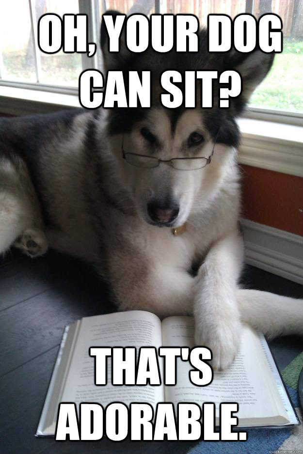 Oh, Your dog can sit? That's adorable. - Oh, Your dog can sit? That's adorable.  Condescending Literary Pun Dog