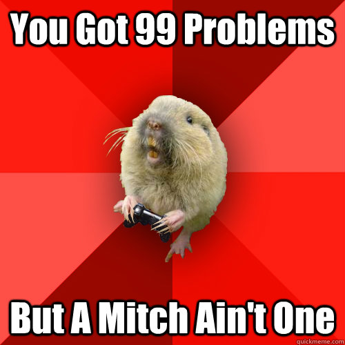 You Got 99 Problems But A Mitch Ain't One  Gaming Gopher