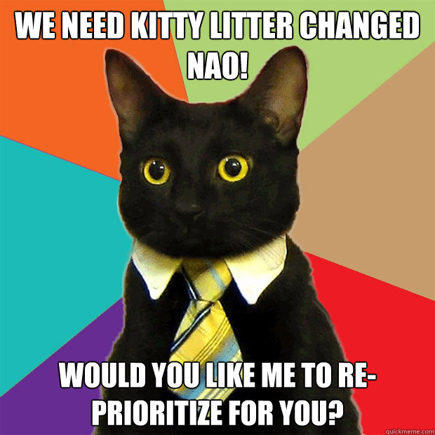 We need kitty litter changed nao! Would you like me to re-prioritize for you?  Business Cat