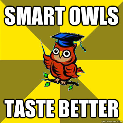 Smart Owls taste better  Observational Owl